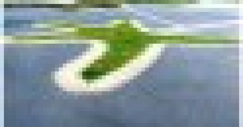 城市陽(yáng)臺(tái)榮膺“青島市園林綠化精品工程”稱(chēng)號(hào)