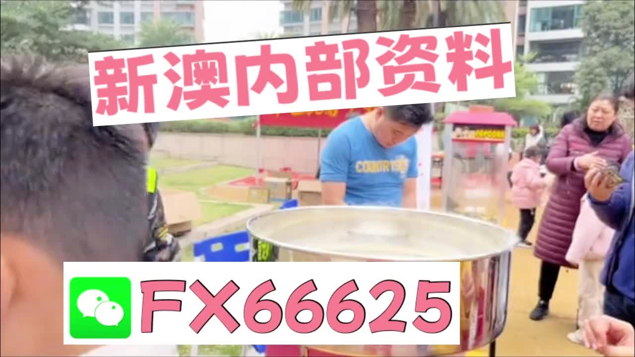 新奧2025資料大全最新版本，全面解析與深度洞察，新奧2025資料大全最新版，全面解析與深度洞察報(bào)告