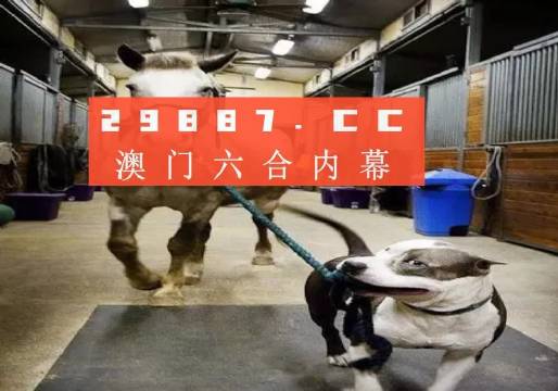 澳門一肖一碼一必中一肖，同舟前進(jìn)的奧秘與策略，澳門一肖一碼必中策略與前進(jìn)奧秘，同舟共濟(jì)的揭秘與策略
