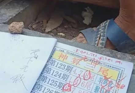 香港中特期期準(zhǔn)資料，深度解析與探索，香港中特期期準(zhǔn)資料深度解析與探索報(bào)告