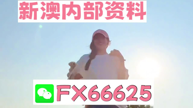 揭秘彩票奧秘，探索精準一肖特77777與88888的奧秘，揭秘彩票神秘面紗，探尋精準生肖特碼77777與88888奧秘