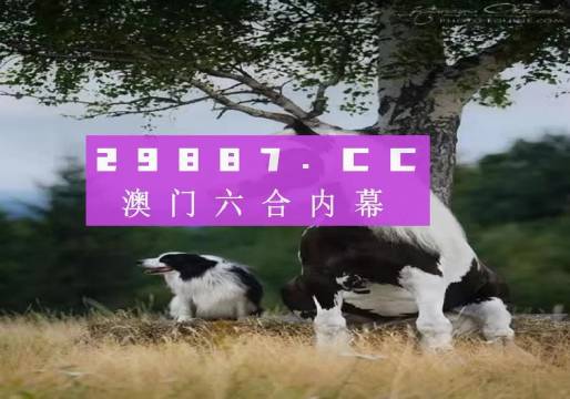 澳門天天空彩官網(wǎng)資料，探索彩票世界的門戶，澳門天天空彩官網(wǎng)資料，彩票世界探索門戶