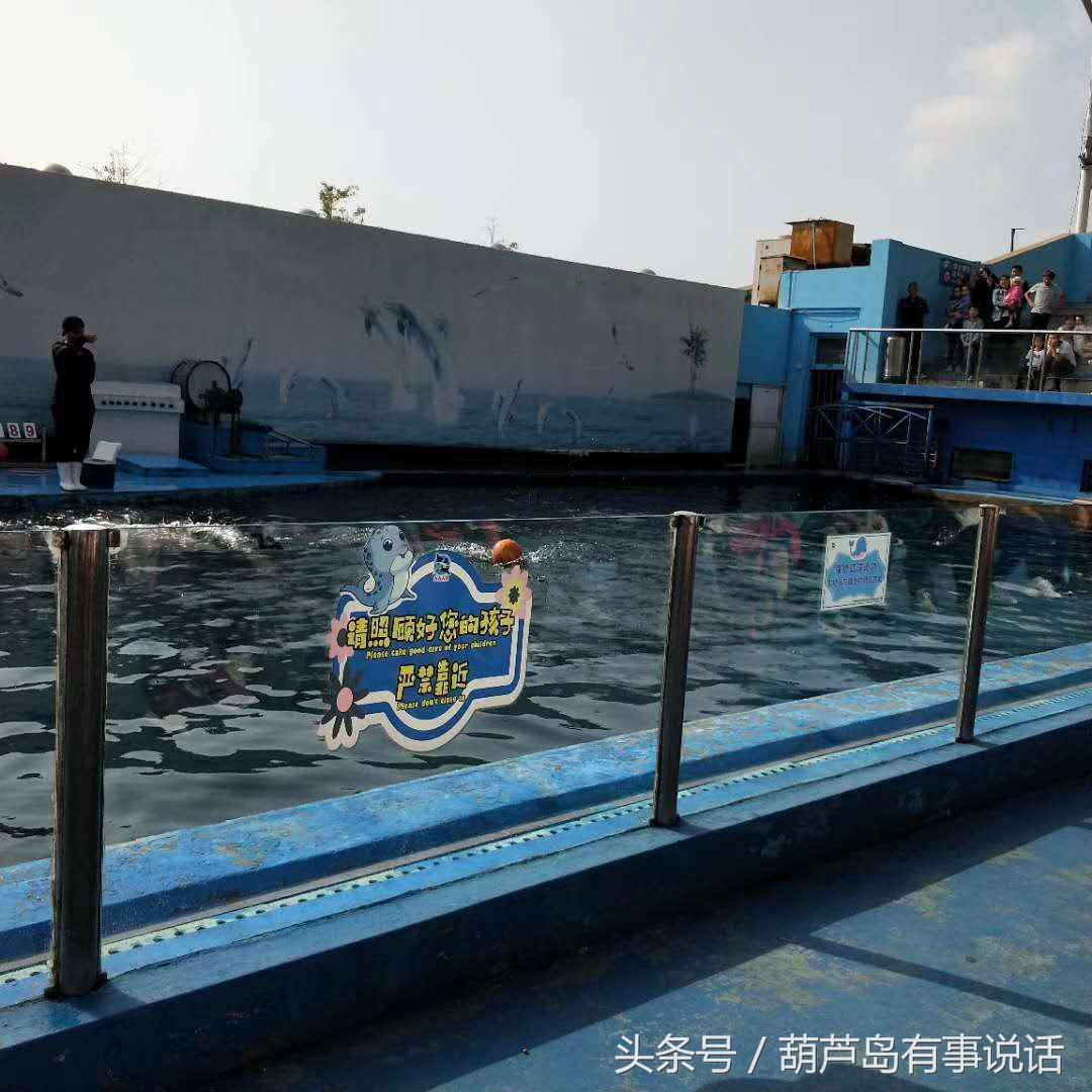 揭秘9點30分彩新澳，全方位解讀彩票新玩法，揭秘9點30分彩新澳，全方位解讀彩票新玩法攻略