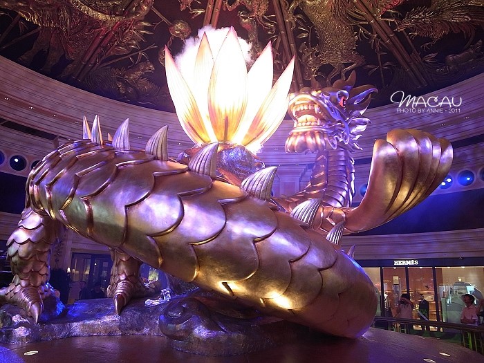 澳門(mén)無(wú)錯(cuò)七尾，探索與解析，澳門(mén)無(wú)錯(cuò)七尾，深度探索與解析