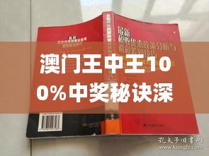 新澳門(mén)王中王期期中，探索與解析，新澳門(mén)王中王期期中，深度探索與解析