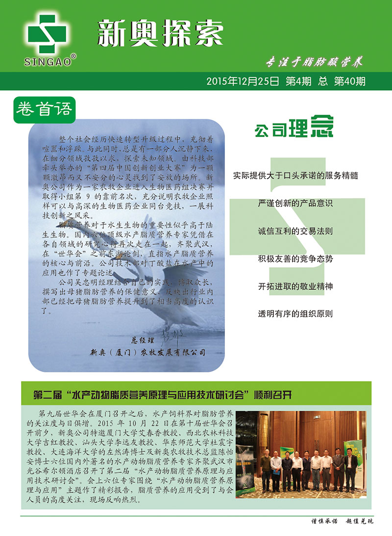 2025新澳正版資料查詢指南，2025新澳正版資料查詢手冊