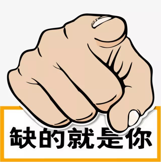 鐵算盤，全網(wǎng)矚目，傾力打造引領(lǐng)潮流的火熱品牌！，鐵算盤引領(lǐng)潮流，全網(wǎng)矚目成火熱品牌！