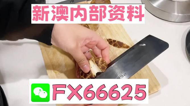 澳門九點半9點半網(wǎng)站——探索其魅力與優(yōu)勢，澳門九點半網(wǎng)站，魅力與優(yōu)勢探索