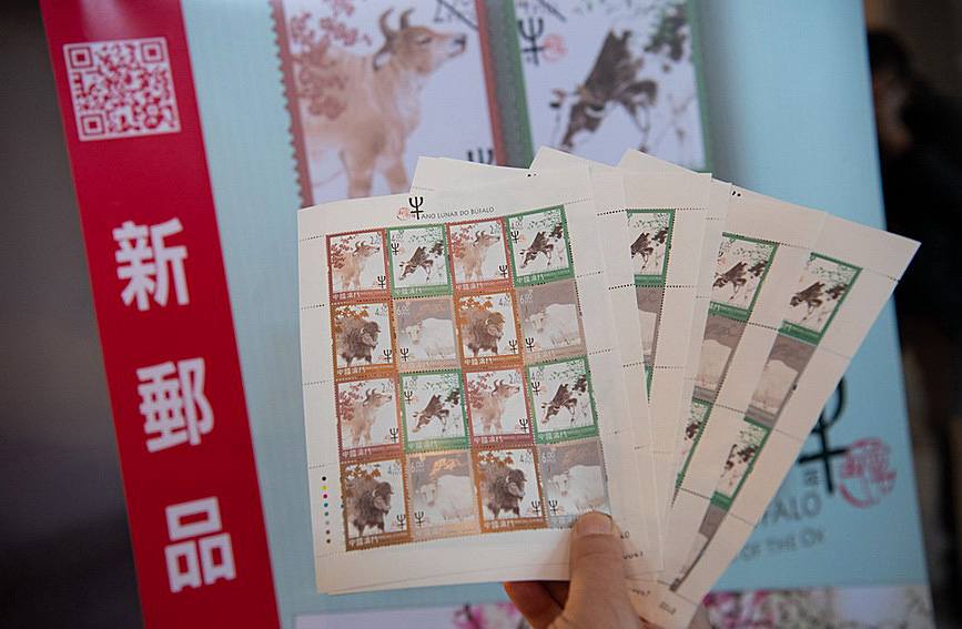 澳門值日生肖600圖庫與八百圖庫開獎(jiǎng)，探索生肖圖庫的魅力與奧秘，澳門生肖圖庫開獎(jiǎng)揭秘，探索值日生肖600圖庫與八百圖庫的魅力與奧秘
