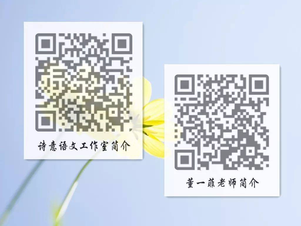 一碼一肖一特一，揭秘背后的秘密與獨(dú)特之處，揭秘一碼一肖一特一的獨(dú)特之處與背后秘密