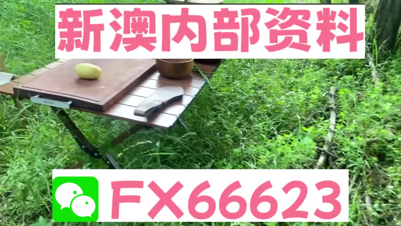 新奧特碼走勢圖解析與預(yù)測，新奧特碼走勢圖解析與預(yù)測，未來趨勢探討