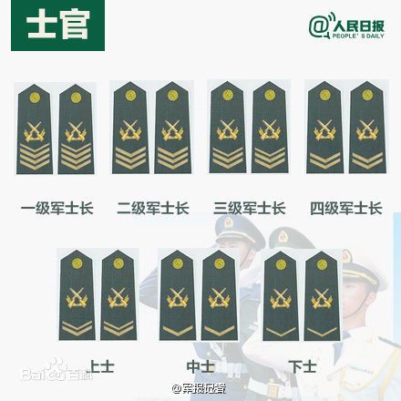 全球各國(guó)軍士長(zhǎng)軍銜對(duì)照表及其重要性，全球各國(guó)軍士長(zhǎng)軍銜對(duì)照表，揭示其重要性