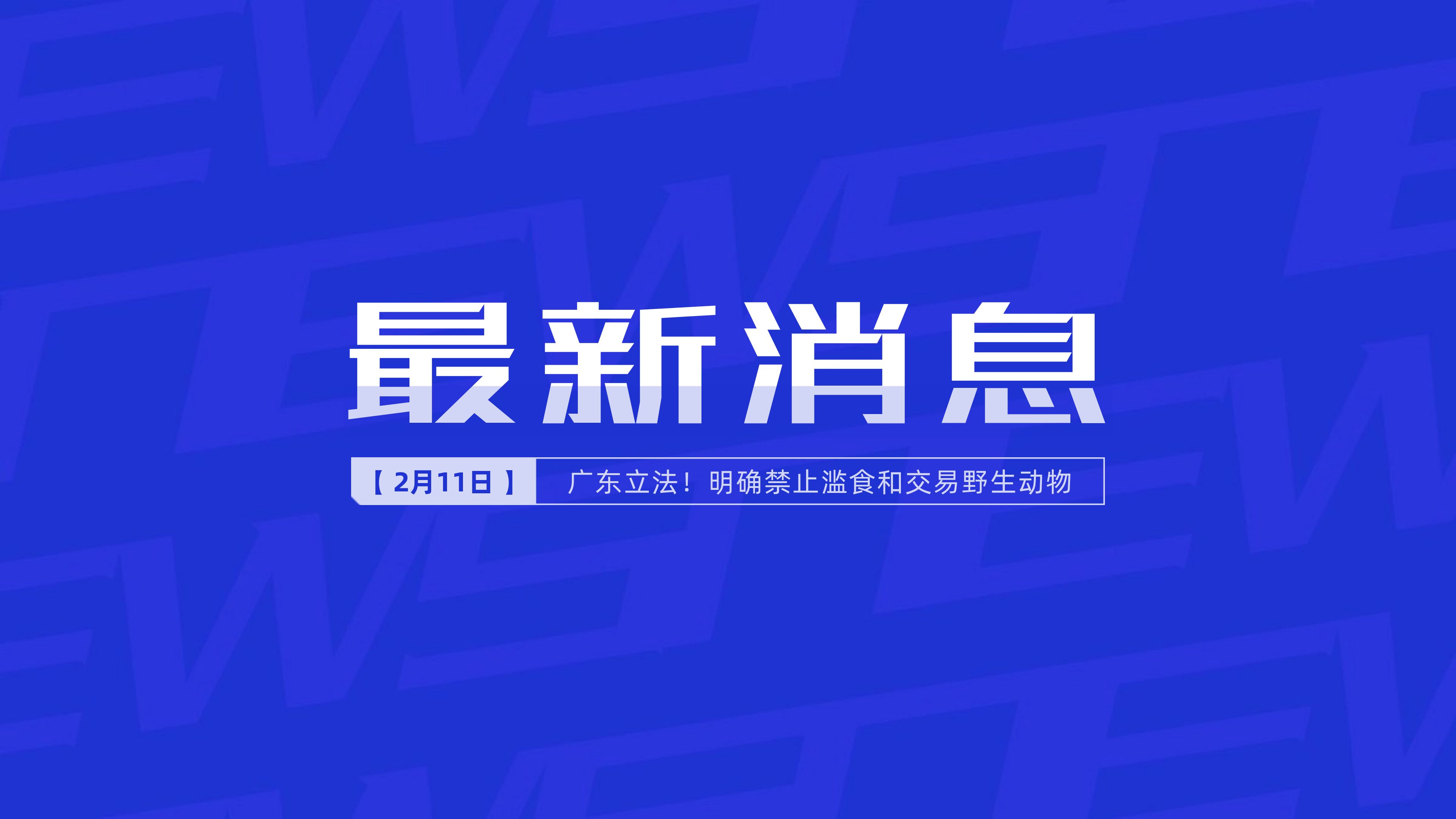 新聞最新新聞，掌握時事熱點，洞悉世界動態(tài)，時事熱點速遞，掌握全球最新動態(tài)新聞
