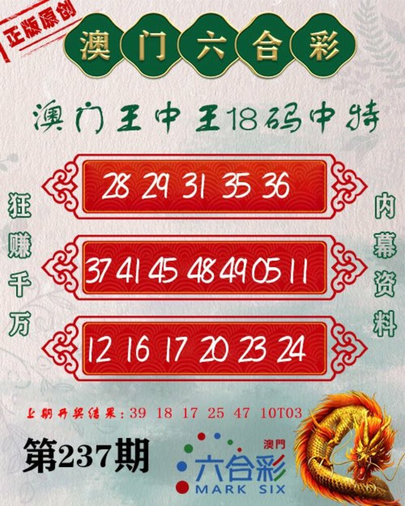新澳門(mén)王中王期期中，探索與解析，新澳門(mén)王中王期期中，深度探索與解析