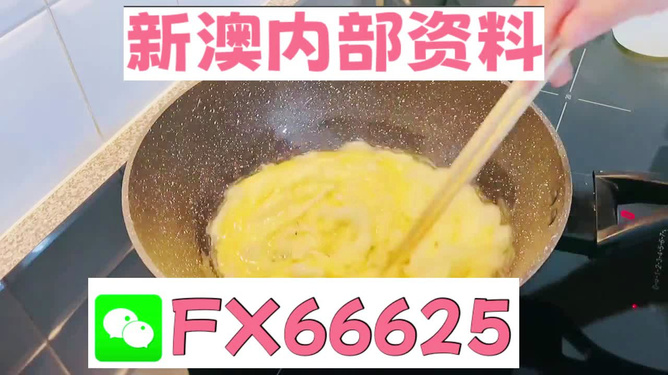 澳門(mén)九點(diǎn)半9點(diǎn)半網(wǎng)站——探索與體驗(yàn)，澳門(mén)九點(diǎn)半網(wǎng)站，探索與體驗(yàn)之旅
