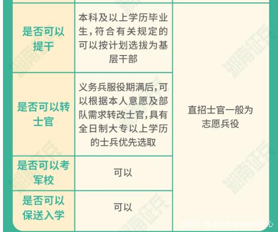 士官直招與義務(wù)兵的區(qū)別，深入了解軍隊(duì)招募制度，直招士官與義務(wù)兵招募制度深度解析，軍隊(duì)招募制度詳解