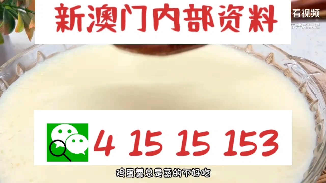 新澳門(mén)中特網(wǎng)中特馬，探索與解析，澳門(mén)中特馬探索與解析指南