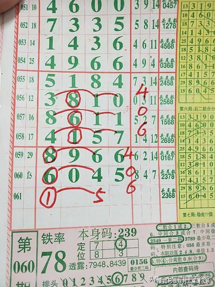 平特肖推算法，探索搜索引擎優(yōu)化的新境界，平特肖推算法，開啟搜索引擎優(yōu)化新境界的探索之旅