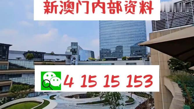 新澳門單雙，探索數(shù)字世界的奧秘與魅力，澳門數(shù)字世界的奧秘與魅力探索，單雙數(shù)的奇幻之旅