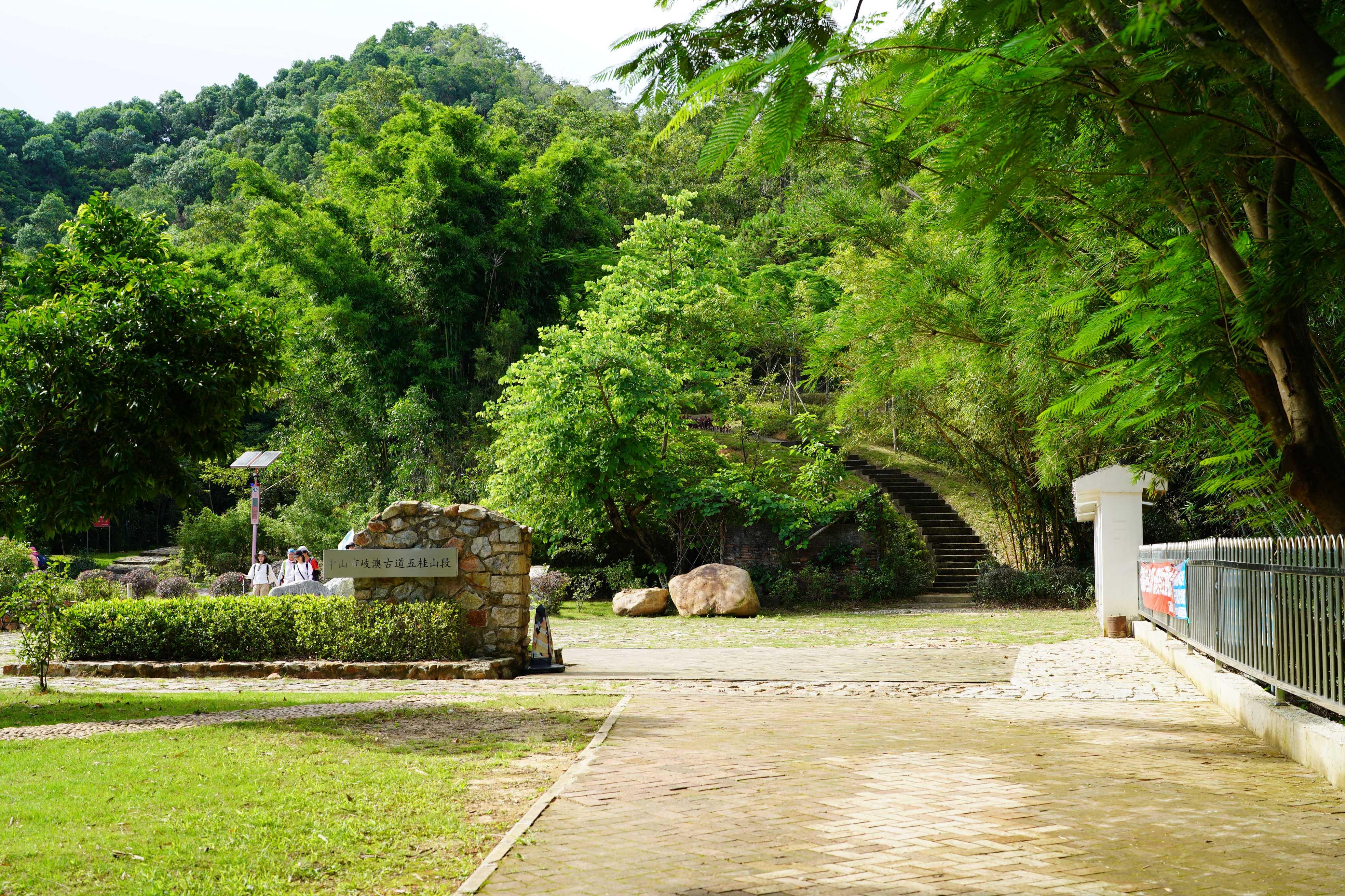 新澳門波色走勢(shì)圖表大全，深度解析與預(yù)測(cè)，澳門波色走勢(shì)圖表解析與預(yù)測(cè)大全