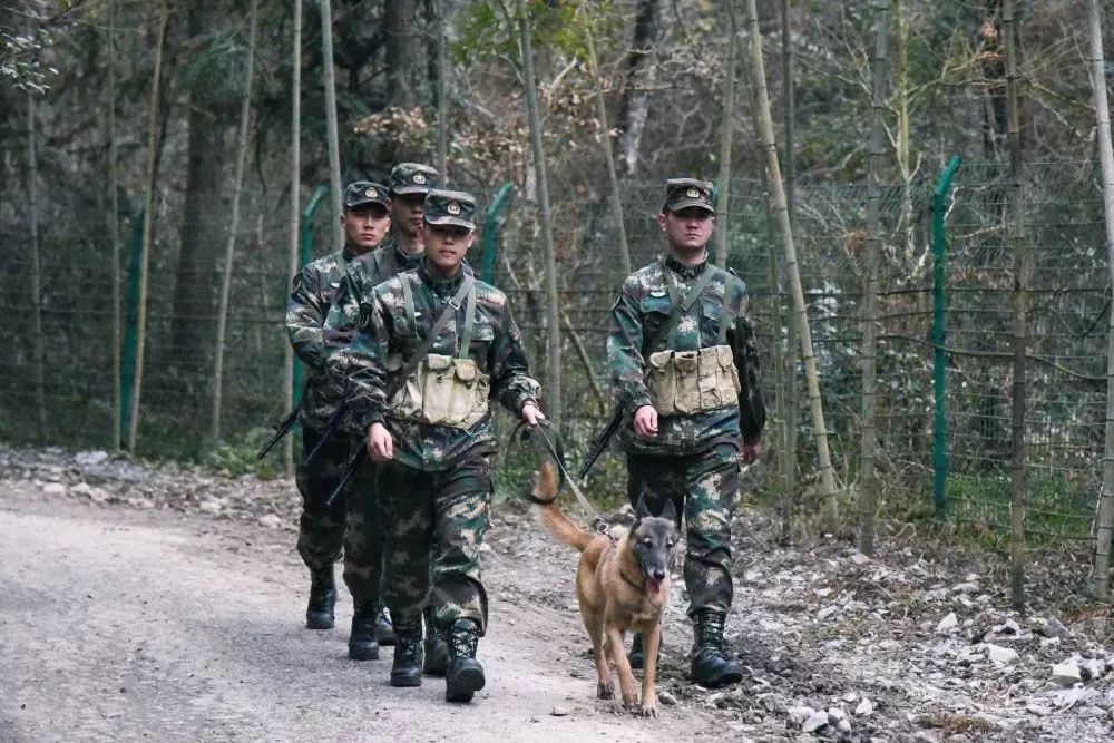 火箭軍是否都在大山之中？解析火箭軍的駐扎環(huán)境與任務特點，火箭軍的駐扎環(huán)境與任務特點解析，大山之中還是多元布局？