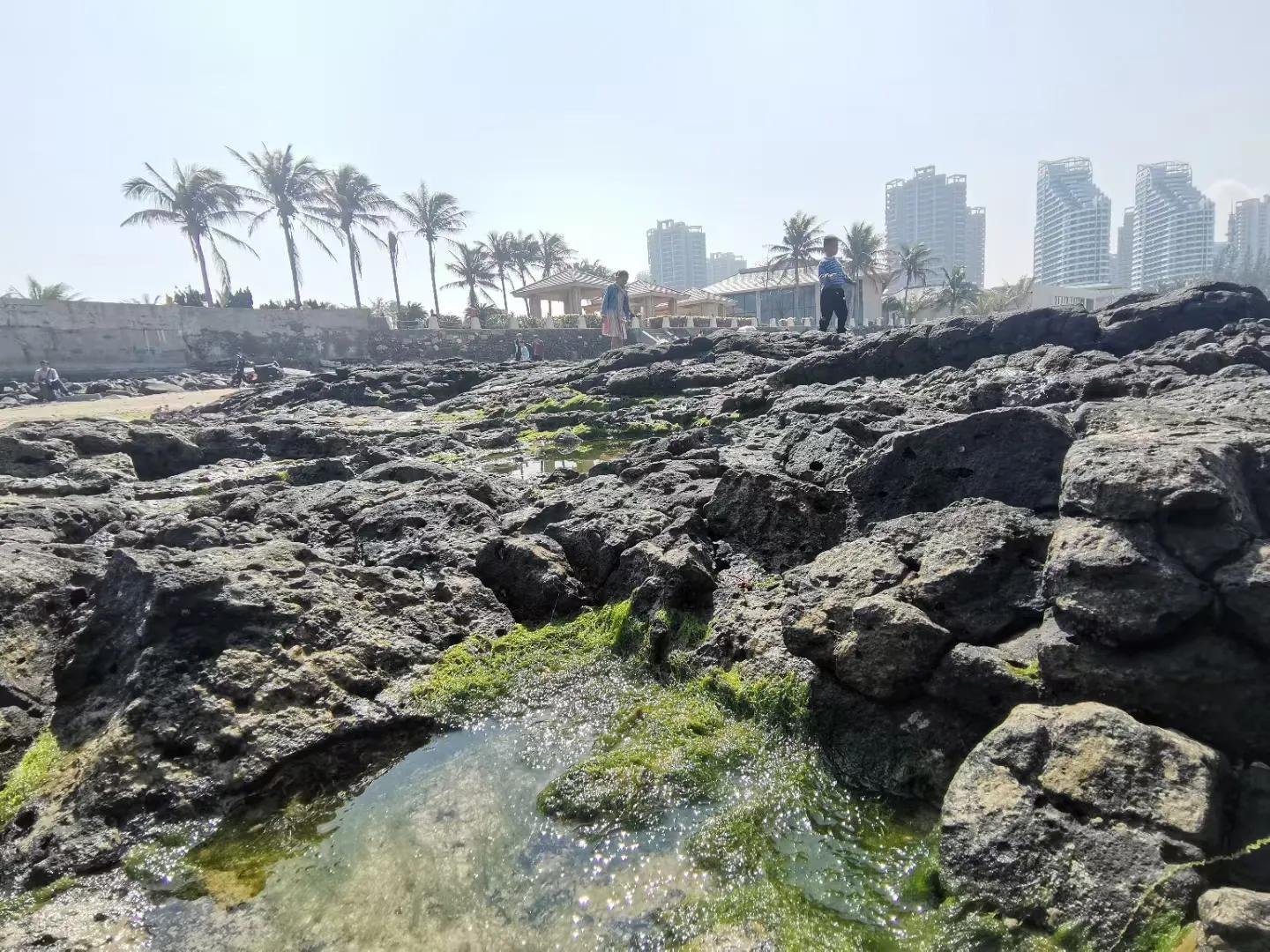 解放海南島電視劇全集下載，探尋30集完整劇情，解放海南島電視劇全集下載，探尋完整的30集劇情探索
