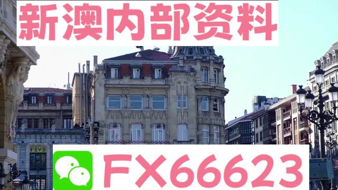 澳門六資料大全，深度探索與揭秘，澳門六資料大全，深度探索與揭秘之旅
