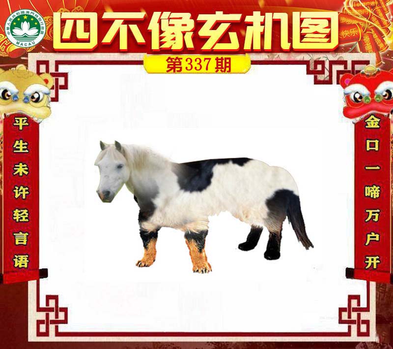 王中王四不像肖一肖中特，探索神秘現(xiàn)象背后的真相，神秘現(xiàn)象背后的真相探索，王中王四不像肖一肖中特揭秘