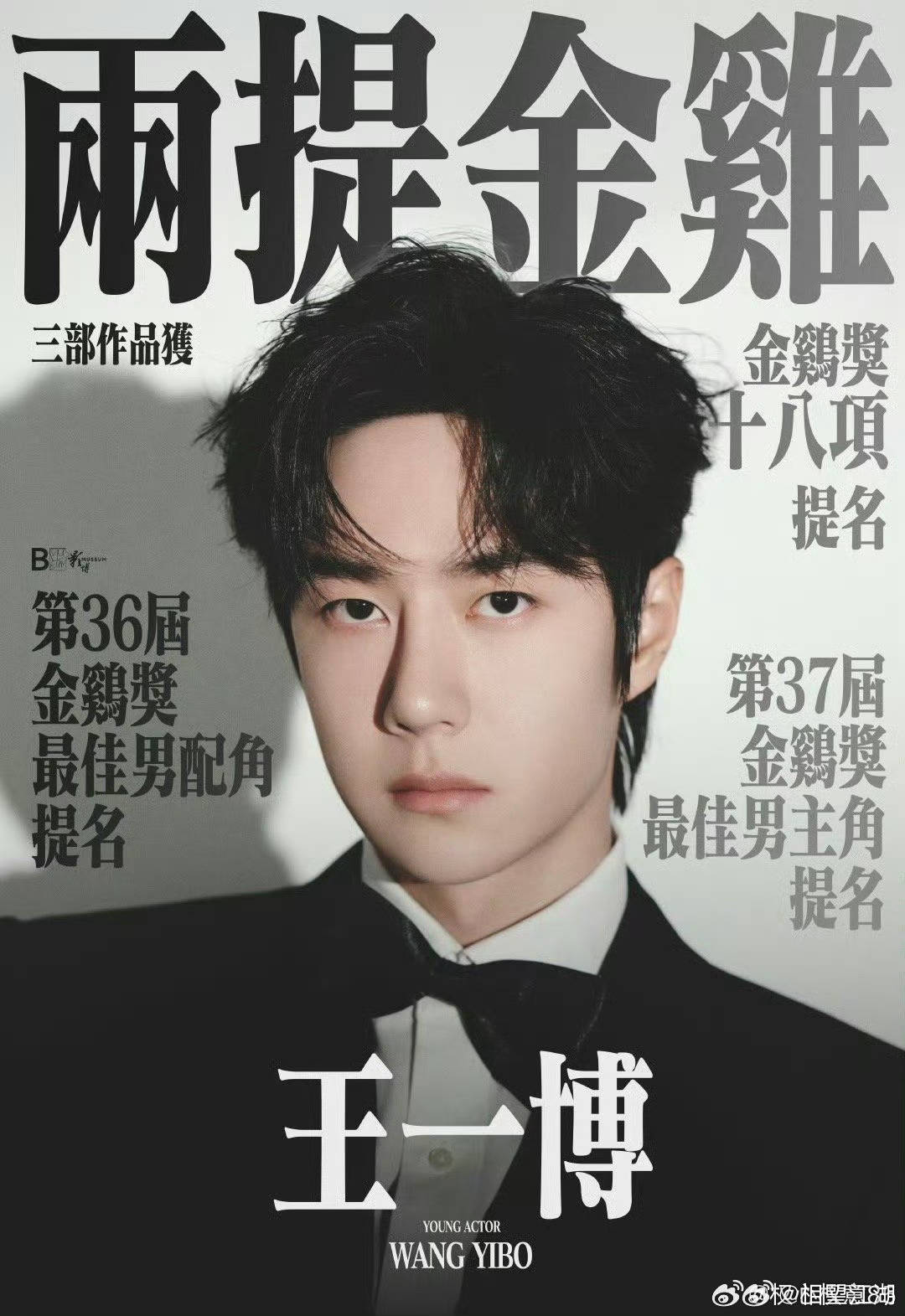 王中王一肖中特論特，深度解析與SEO洞察，深度解析王中王一肖中特論特與SEO洞察