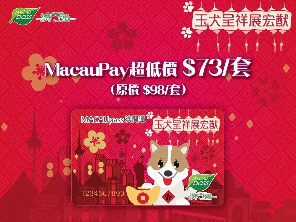 澳門生肖卡，探索未來的趨勢與機(jī)遇（2025年展望），澳門生肖卡，未來趨勢與機(jī)遇展望（2025年）
