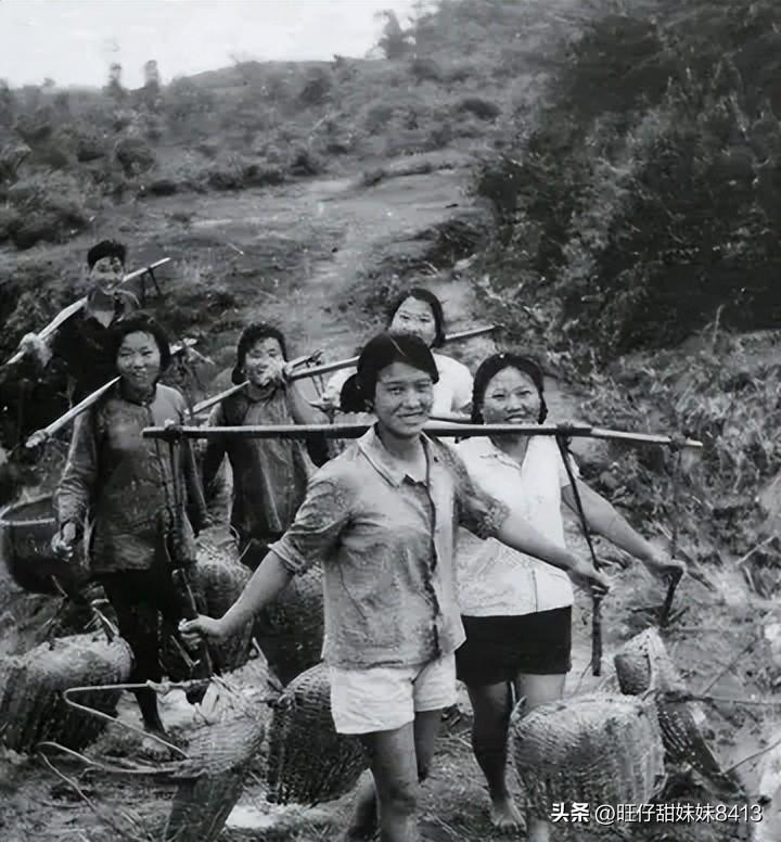 關(guān)于49圖庫圖片資料的專業(yè)解析與探索，49圖庫圖片資料深度解析與探索