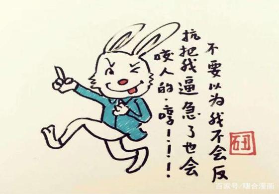 一肖不中賠多少倍，深度解析與策略建議，一肖不中賠倍深度解析及策略建議
