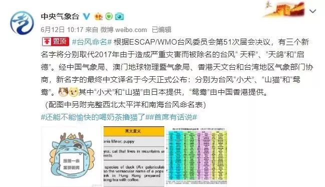 新澳門必中三肖三碼三期必開劉伯，揭秘彩票背后的秘密與策略，揭秘彩票背后的秘密與策略，劉伯的新澳門三期必開三肖三碼預(yù)測(cè)技巧