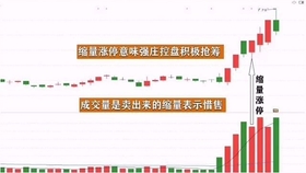 王中王一肖平碼，揭秘背后的故事與SEO策略，王中王一肖平碼背后的故事與SEO策略揭秘
