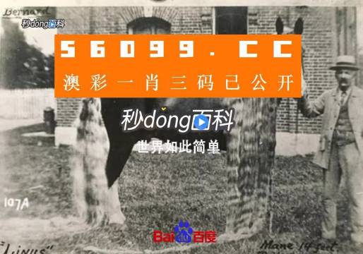 澳門王中王心水王中王，探索與解析，澳門王中王心水奧秘，深度探索與解析