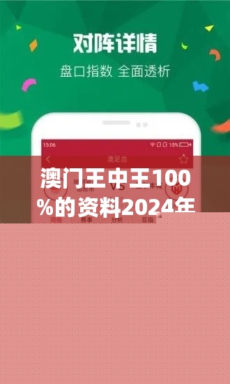 王中王網(wǎng)站一肖，探索與SEO優(yōu)化策略，王中王網(wǎng)站一肖，深度探索與SEO優(yōu)化策略實踐