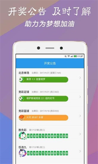 澳門今一必中一肖一碼一肖，揭秘彩票背后的秘密與策略，揭秘彩票背后的秘密與策略，澳門今一必中一肖一碼一肖探秘