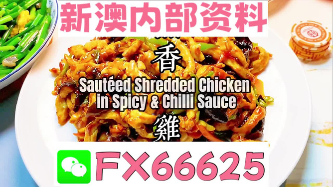 新奧天天精準資料大全，全方位解讀與應(yīng)用指南，新奧天天精準資料大全，全方位解讀與應(yīng)用指南手冊