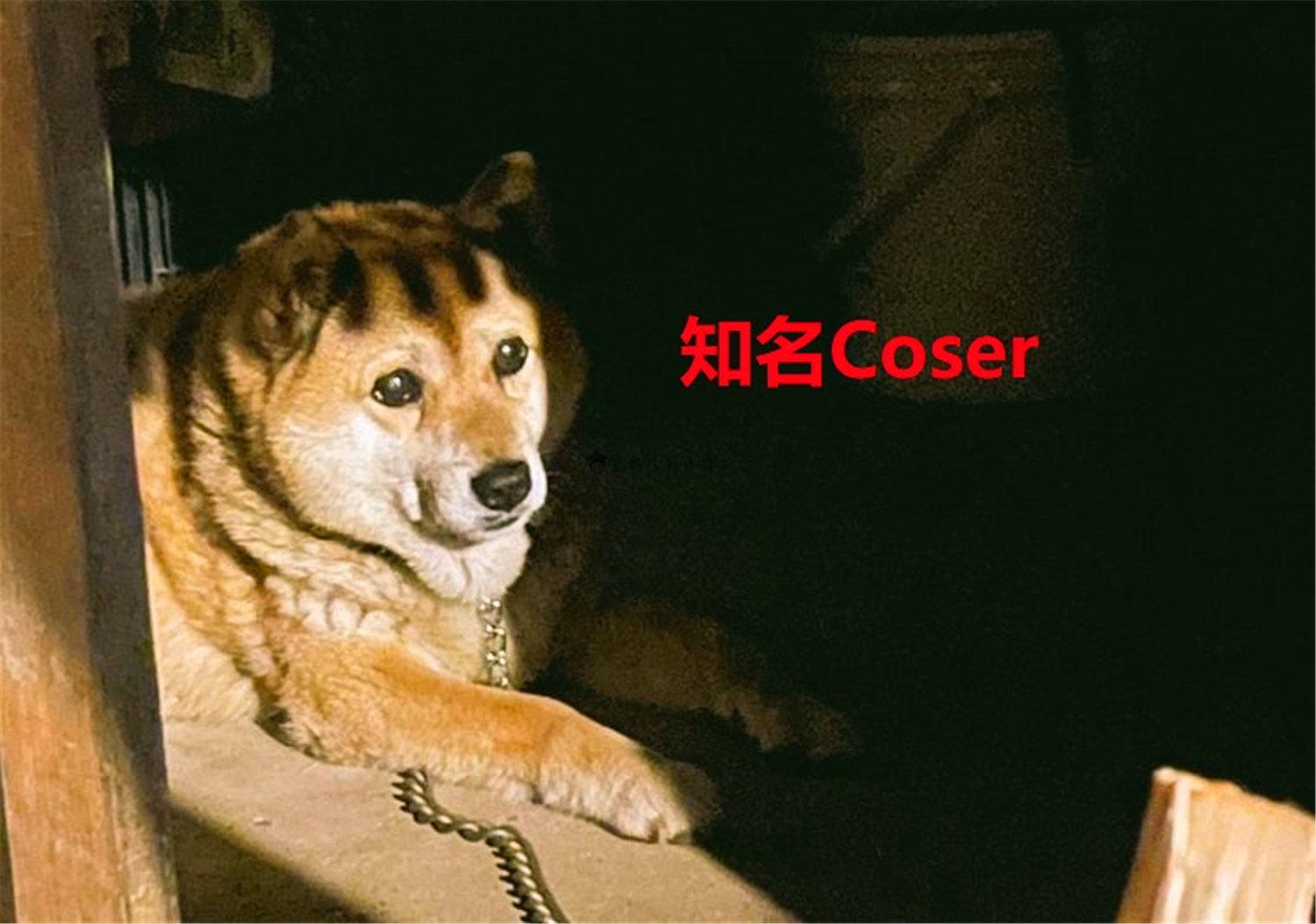 豬狗同行王中王，猜一肖，深度解析與SEO優(yōu)化，豬狗同行王中王猜謎解析與SEO優(yōu)化技巧，深度解析揭秘生肖之謎