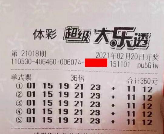 王中王018期指一生肖，揭秘背后的奧秘與意義，揭秘生肖奧秘，王中王生肖背后的意義與秘密
