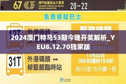 澳門今晚開特馬，探索未來的機(jī)遇與挑戰(zhàn)，澳門未來機(jī)遇與挑戰(zhàn)，特馬開啟新篇章