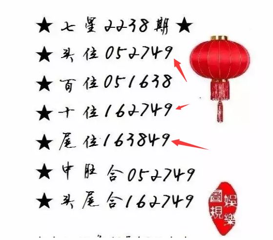 王中王一肖尾數(shù)資料，深度解析與探索，王中王一肖尾數(shù)資料深度解析與探索之旅