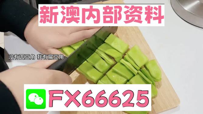 新澳精選資料免費(fèi)提供，探索優(yōu)質(zhì)資源的海洋，新澳精選資料免費(fèi)探索，優(yōu)質(zhì)資源海洋的開啟