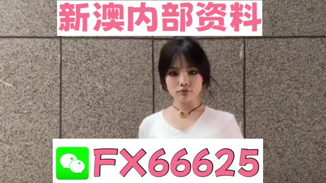 澳門正版資料大全完整版，探索與揭秘2025年澳門正版資料的世界，澳門正版資料大全揭秘，探索未來至2025年的奧秘世界