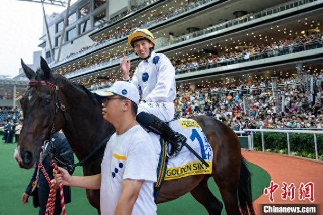 香港特馬王資料免費公開，揭秘背后的秘密，香港特馬王資料揭秘，免費公開背后的秘密
