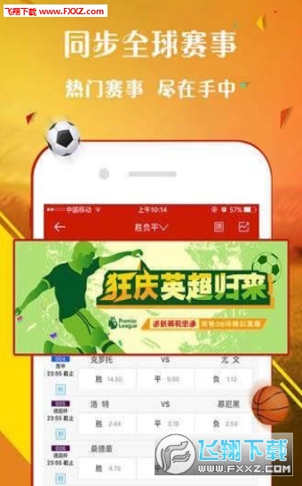 王中王一肖，探尋背后的故事與影響力（2019年），王中王一肖，背后的故事與影響力揭秘（2019年）