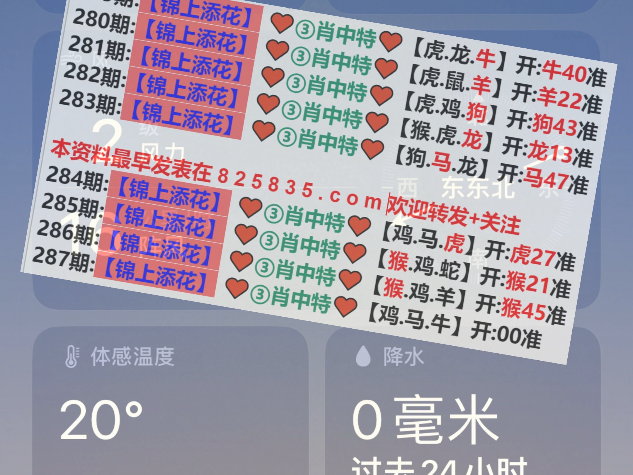 新澳2025年精準(zhǔn)一肖一碼，揭秘預(yù)測背后的秘密，揭秘新澳2025年精準(zhǔn)一肖一碼預(yù)測背后的秘密