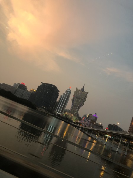 澳門今晚必開(kāi)一肖一特，深度解析與預(yù)測(cè)，澳門今晚生肖特碼深度解析與預(yù)測(cè)，一肖一特必開(kāi)趨勢(shì)探討