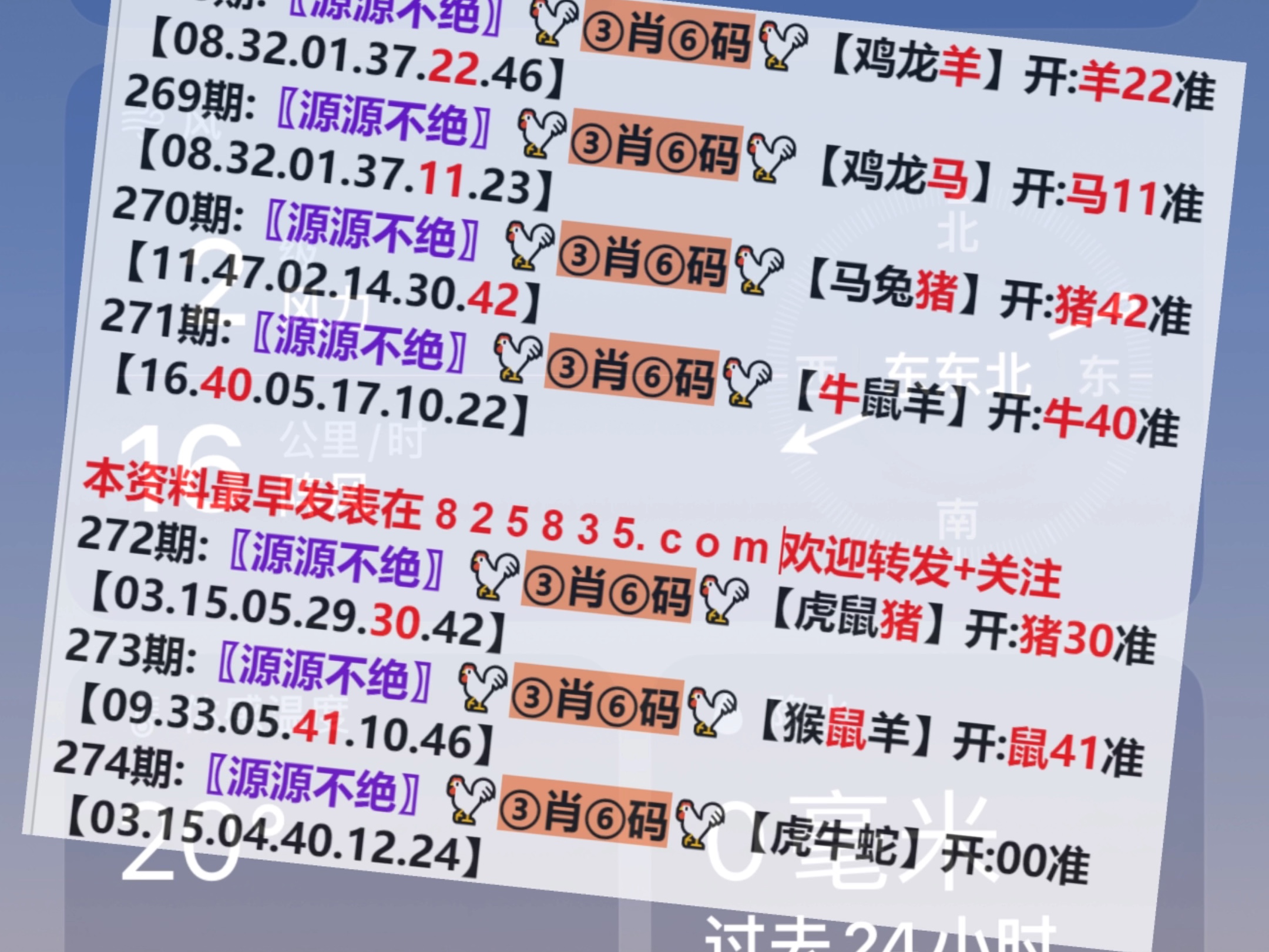 澳門一肖一碼開獎結果，揭秘彩票背后的秘密，澳門彩票開獎結果揭秘，一肖一碼背后的秘密
