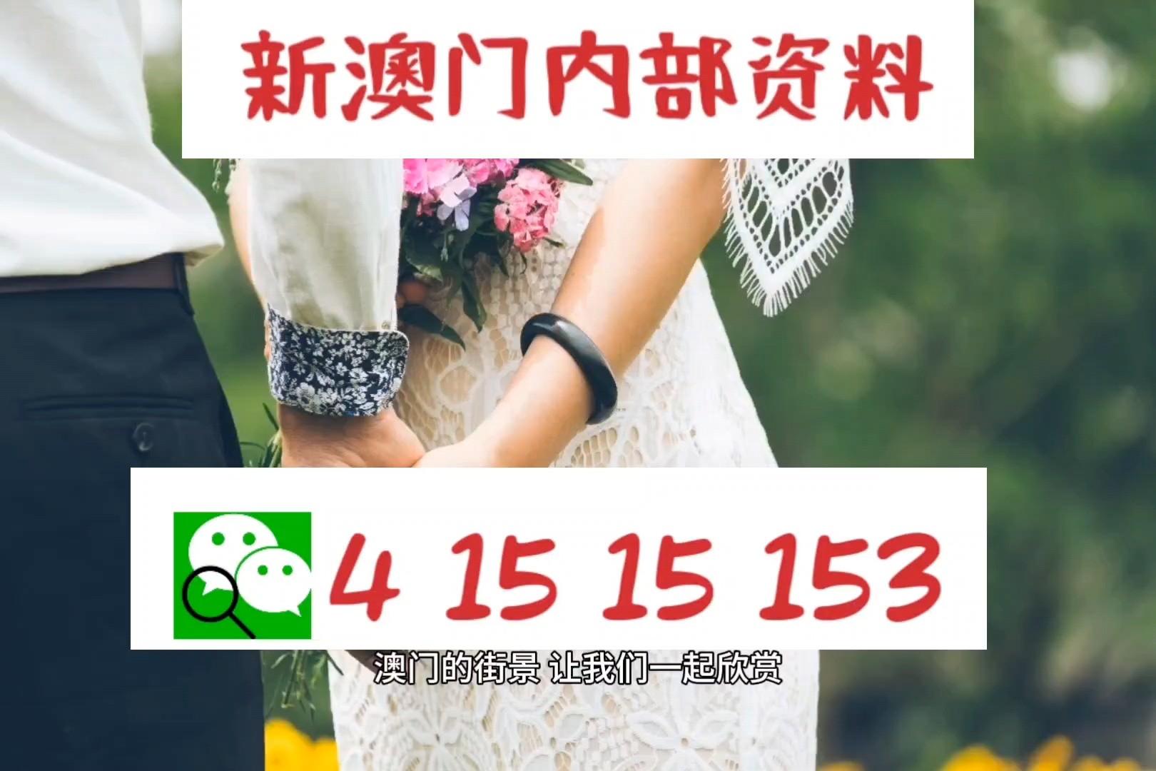 澳門掛牌正版掛牌完整掛牌，探索與解析，澳門掛牌正版完整流程解析與探索